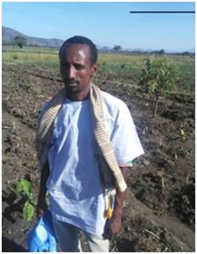 milear (1)