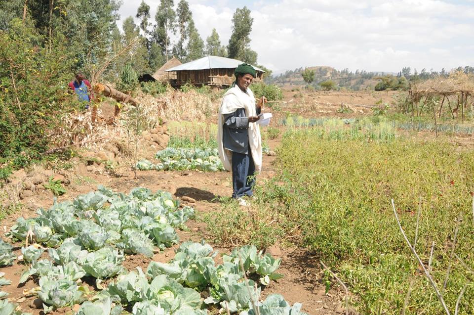 FNS/ Project carrying out SIS to benefit farmers