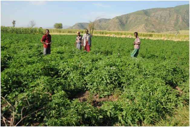 Community ponds opened the eyes of farmers!