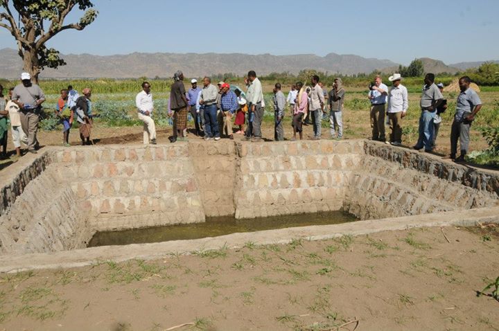 Market-led Improved Livelihoods in Eastern Amhara (MILEAR) benefited over 8 thousand farmers